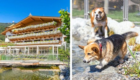 In Tirol landete das Hotel Magdalena auf Platz eins.