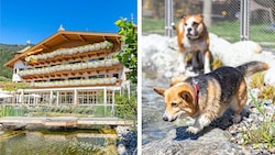 In Tirol landete das Hotel Magdalena auf Platz eins.