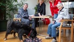 Therapiehund Holly mit Bewohner Christian Schudi, Teschl-Hofmeister, Hunde- besitzerin Marianne ...