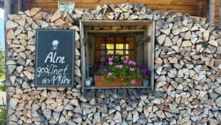 Wer sich jetzt mit Brennholz eindeckt, der muss im Herbst und Winter nicht zittern (Symbolbild)