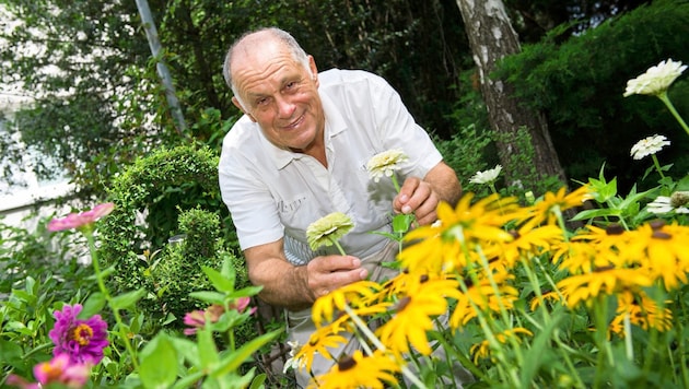 16 Jahre kümmerte sich der Wiener Hans Maczejka um die Grünoase. Jetzt hat Wiener Wohnen die ...
