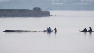 Am Donnerstag ist ein weiterer Rettungsversuch für den gestrandeten Buckelwal „Timmy“ in ...