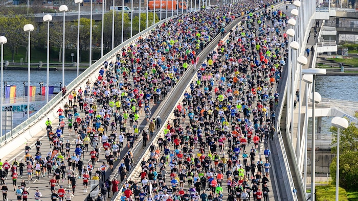 Die Reichsbrücke wird am Sonntag zur Laufstrecke – für Autos geht hier stundenlang nichts mehr.