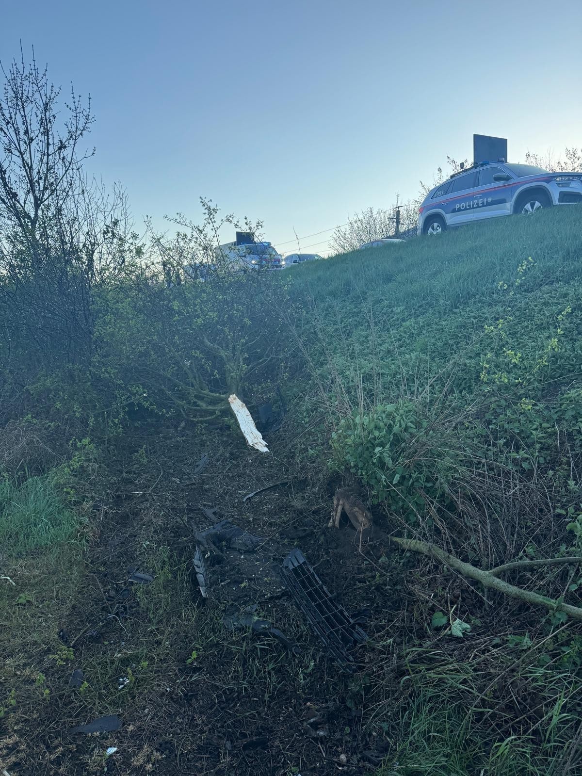 Der Wagen prallte gegen einen Baum.