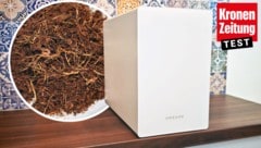 Der „Speisereste-Entsorger“ von Dreame verwandelt Bioabfälle in fertigen Kompost.