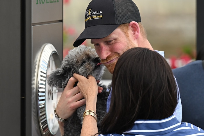 Harry und Meghan lernen dabei auch ein kleines Hündchen kennen, dass Harry gleich „abbusselt“.
