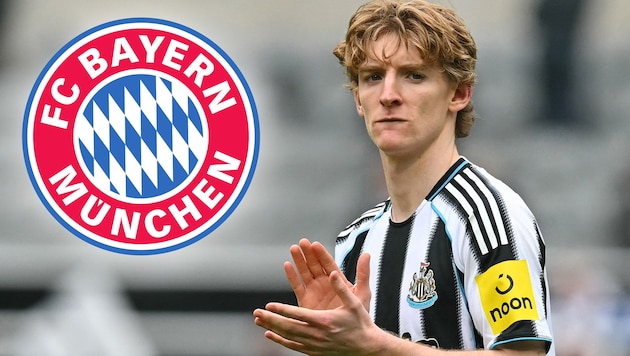 Anthony Gordon steht auf der Wunschliste des FC Bayern.