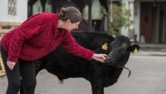 Kerstin Hausegger mit Stier „Silvio“, der ein Frühchen war und mit der Flasche aufgezogen wurde.