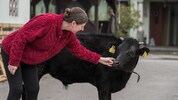 Kerstin Hausegger mit Stier „Silvio“, der ein Frühchen war und mit der Flasche aufgezogen wurde.