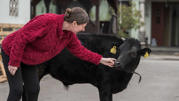 Kerstin Hausegger mit Stier „Silvio“, der ein Frühchen war und mit der Flasche aufgezogen wurde.