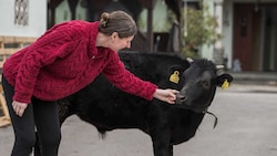 Kerstin Hausegger mit Stier „Silvio“, der ein Frühchen war und mit der Flasche aufgezogen wurde.