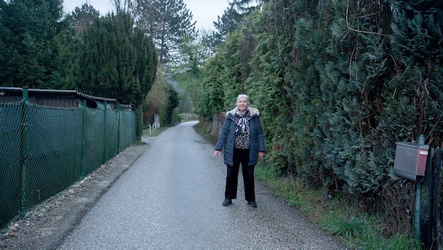 Anrainer kämpfen verzweifelt gegen die geplante brutale Rodung der idyllischen Gässchen.