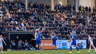 0:1 hieß es am Ende in der Regionalliga Ost gegen Horn