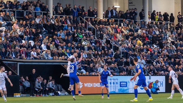 0:1 hieß es am Ende in der Regionalliga Ost gegen Horn