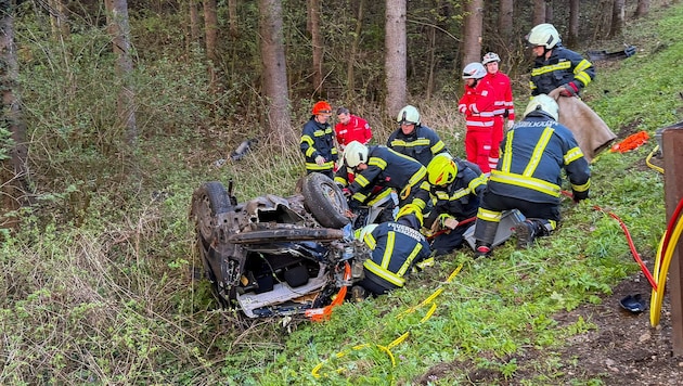 Das Fahrzeug kam in einem Waldstück zum Liegen.