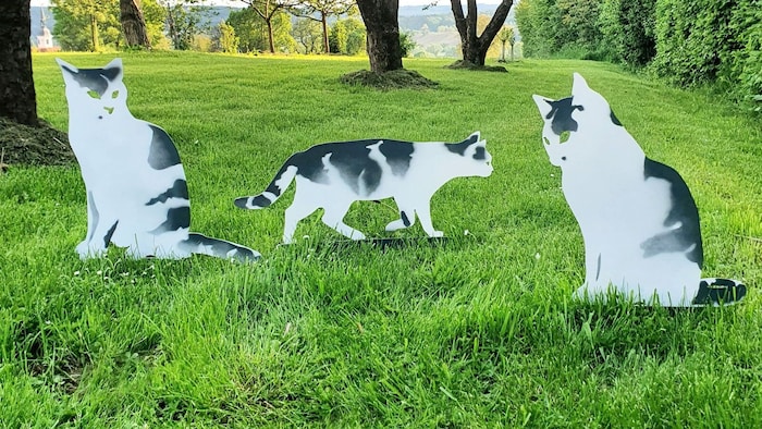 Die Katzenaufsteller stehen bereits in ganz Österreich.