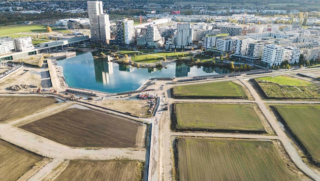 Halb fertig: Auf den freien Baufeldern (vorne) sollen noch tausende Wohnungen entstehen. Bis die ...