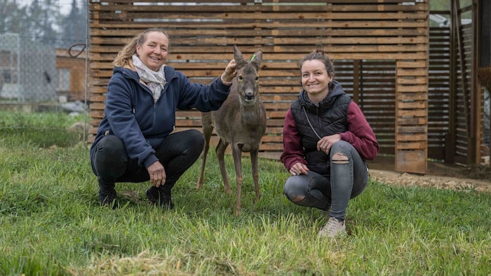 Mit Schützling „Edi“, einem leider fehlgeprägten Tier. Es wurde von Laien per Hand aufgezogen ...