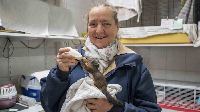 Die Versorgung aller Schützlinge ist immens aufwändig