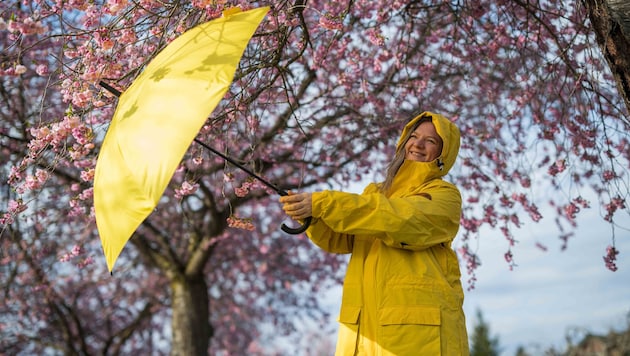 Am Sonntagnachmittag sollten Sie den Regenschirm auspacken!