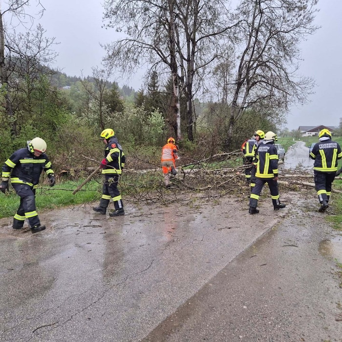 In Moosburg mussten die Einsatzkräfte wegen umgefallener Bäume ausrücken.