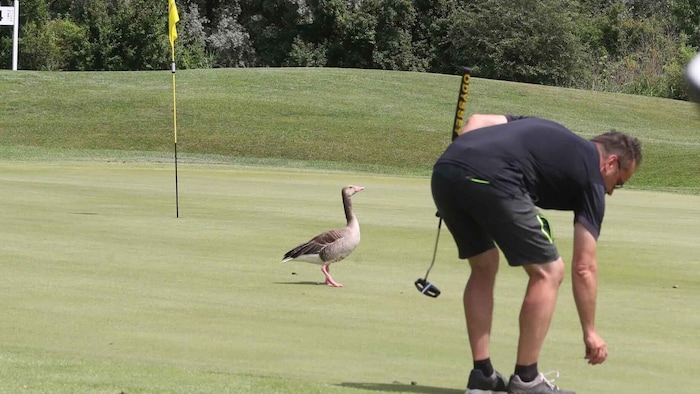 In Donnerskirchen bereitet das Spielen mitunter tierisches Vergnügen.