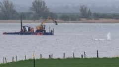 Am Montagmorgen gegen 7.05 Uhr war zu sehen, wie sich der Wal plötzlich bewegt hat.