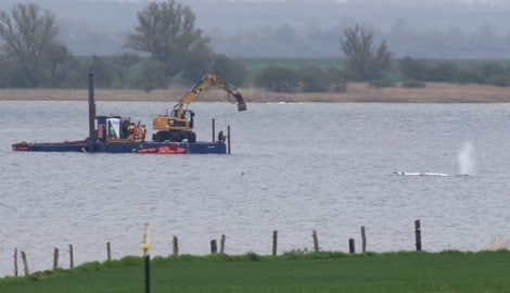 Am Montagmorgen gegen 7.05 Uhr war zu sehen, wie sich der Wal plötzlich bewegt hat.