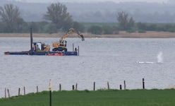 Am Montagmorgen gegen 7.05 Uhr war zu sehen, wie sich der Wal plötzlich bewegt hat.