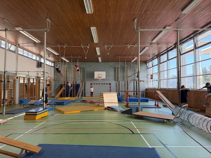 Für den optimalen Überblick kletterten sogar die Erwachsenen bis ganz nach oben