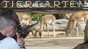 Der unbekannte Schütze (Symbolbild) feuerte von außen ins Gehege und tötete eine Antilope.