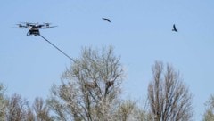 Die Drohne im Einsatz 