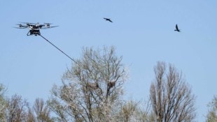 Die Drohne im Einsatz 