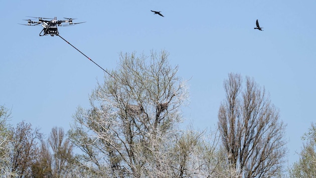 Die Drohne im Einsatz