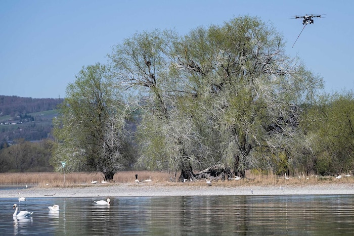 Testflug am Bodenseeufer