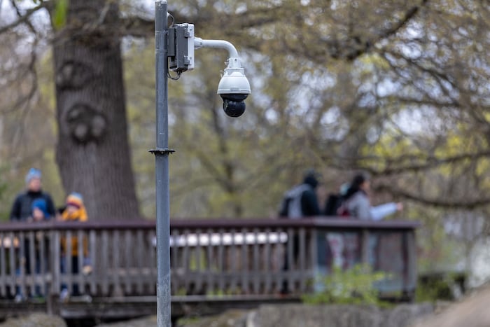 In Schönbrunn gibt es zwar Kameras, der heimtückische Anschlag erfolgte aber in der Dunkelheit.