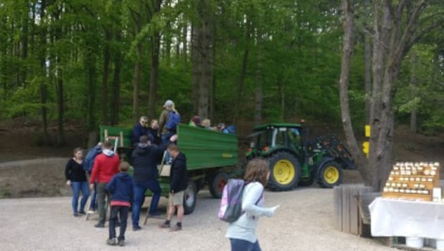 Im „Naturpark-Taxi“ zum Frühlingsfest!