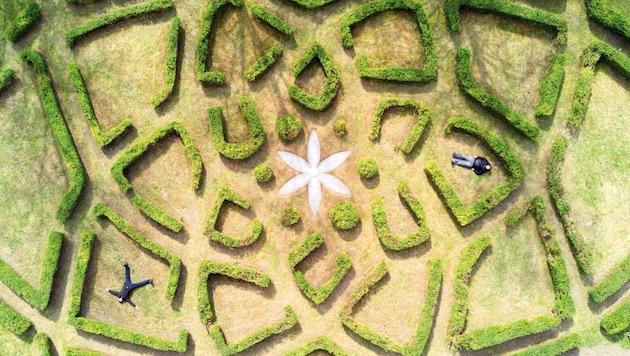 Ein Blick von der Drohne aus auf das wiederbelebte „Gartenlabyrinth“ von Hartmut Skerbisch