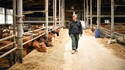 Roland Sch. in seinem Stall, den er nun ausräumen muss