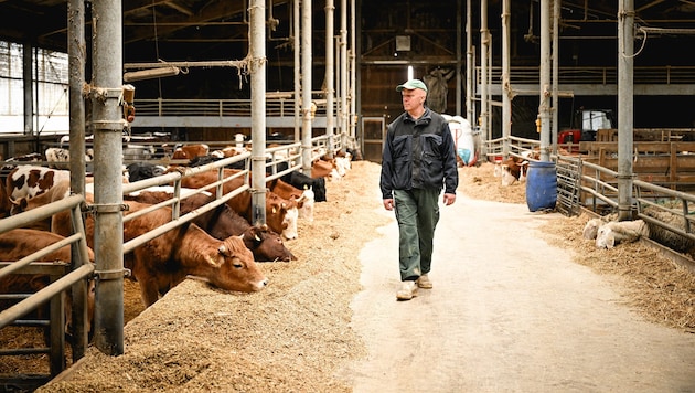 Roland Sch. (41) bekam von der BH ohne die Möglichkeit zur Stellungnahme ein Halteverbot, muss ...