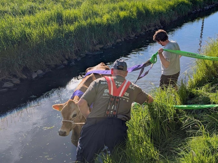 Mit Gurten konnte „Malea“ gerettet werden.
