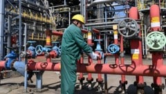 Demnächst sollen ungarische Raffinerien wieder russisches Öl aus der Druschba-Pipeline ...