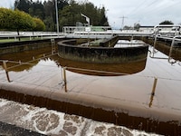 Aus mehreren Gemeinden des Bezirks fließt in der Kläranlage Spittal Abwasser zusammen. ...