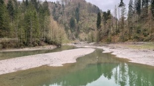 Der Staufensee: reichlich Sand- und Schlickablagerungen. 