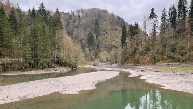 Der Staufensee: reichlich Sand- und Schlickablagerungen.