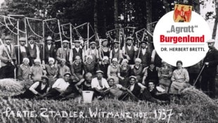 Die Saisonarbeiterpartie „Stadler“ um 1930 beim Getreideschnitt am Wittmannshof bei Halbturn.