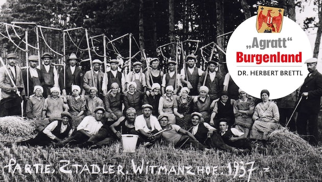 Die Saisonarbeiterpartie „Stadler“ um 1930 beim Getreideschnitt am Wittmannshof bei Halbturn.