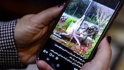 Der Soldat wurde fotografiert, als er die Statue mit einem Hammer beschädigte.