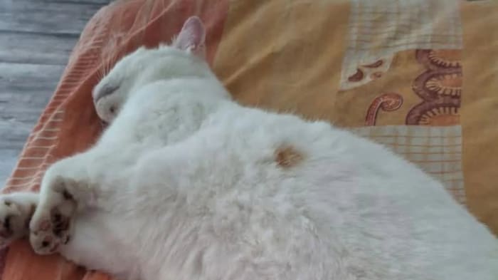 Wo ist die süße Maus?