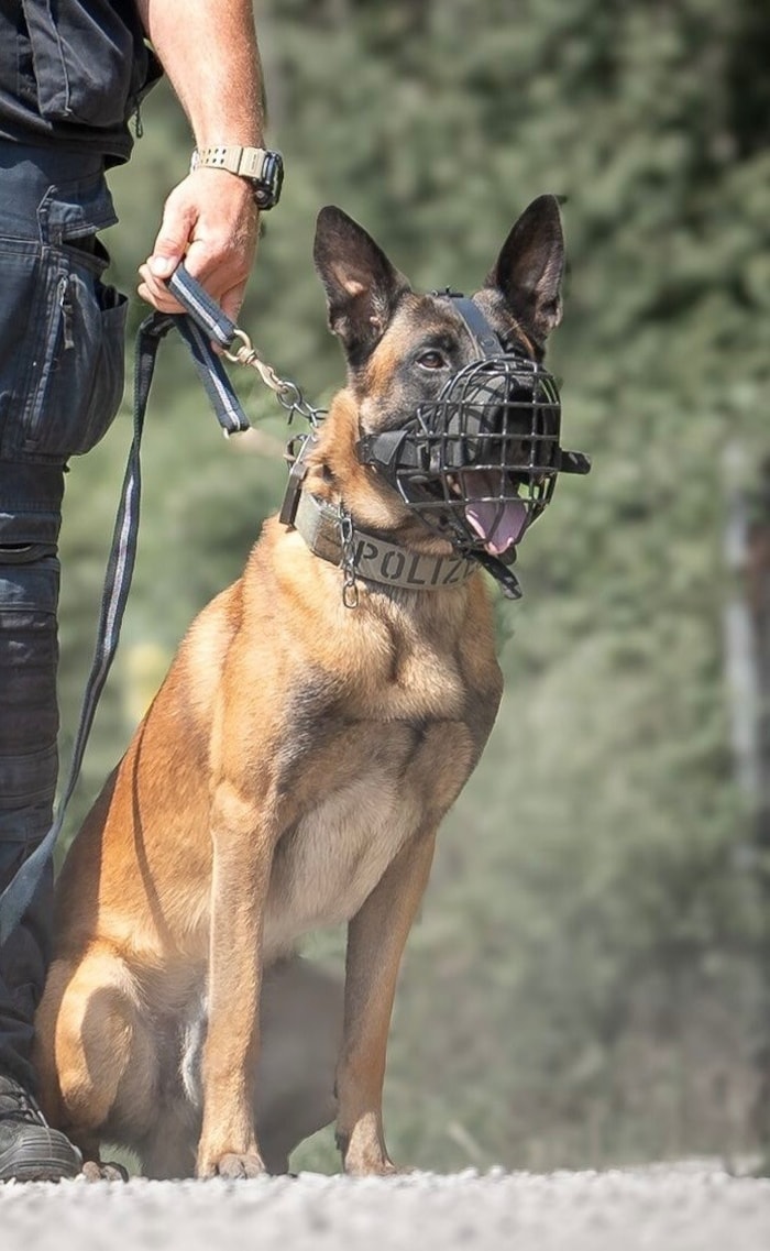 Zeigte keine Angst vor der Täterin und stellte diese: „Hendrix.“